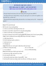 Đề thi giữa kì 2 KHTN 7 Kết nối tri thức - Đề số 2